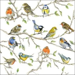 Ambiente - Birds Meeting - Papieren Lunch Servetten - Tuinvogels Thema Print - Roodborstje/pimpelmees/vink