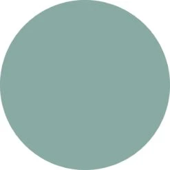 Today Rond Tafelkleed - Tafellaken - Ø180cm - Polyester - Céladon - Jade 13 Today Rond Tafelkleed - Tafellaken - Ø180cm - Polyester - Céladon - Jade -Merkloos Verkoopwinkel 1200x1200 1897