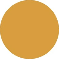 Today Rond Tafelkleed - Tafellaken - Tafelzeil Rond - Ø180cm - Polyester - Oker - Geel -Merkloos Verkoopwinkel 1200x1200 1948