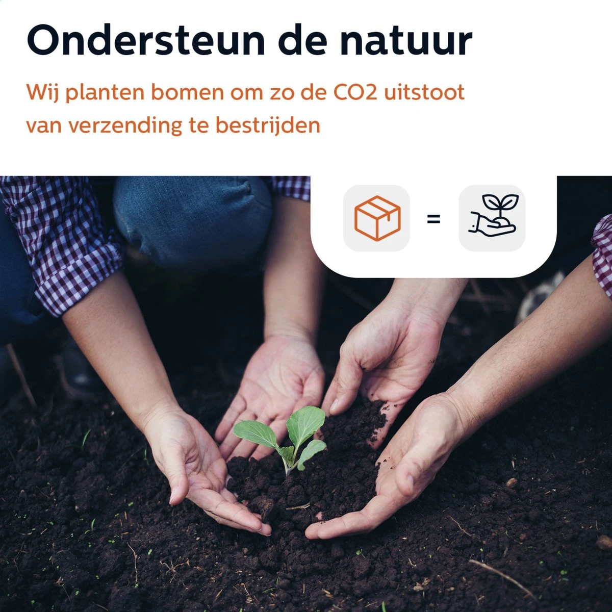 BooGoo® - RVS Oliefles Deluxe - Oliefles Met Schenktuit En Accessoires - Olijfolie Fles - Olie Fles Glas 6 BooGoo® - RVS Oliefles Deluxe - Oliefles Met Schenktuit En Accessoires - Olijfolie Fles - Olie Fles Glas - Afbeelding 6