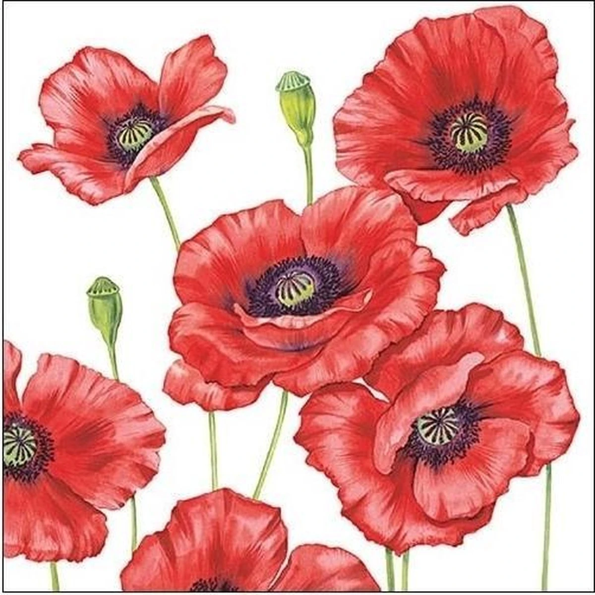 20x Klaprozen/poppy Bloemen Voorjaar Servetten 33 X 33 Cm - Papieren Wegwerpservetten 3-laags 1 20x Klaprozen/poppy Bloemen Voorjaar Servetten 33 X 33 Cm - Papieren Wegwerpservetten 3-laags