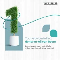 MR. PANACHE Ovenhandschoenen (2 Stuks) - EN407 Certificaat - Tot 500°C - Ovenwanten - Hittebestendige BBQ Handschoenen - Barbecue En Oven Handschoenen -Merkloos Verkoopwinkel 1200x1200 768