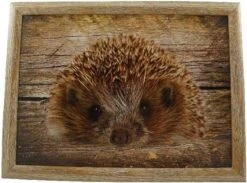 Mars & More - Laptray - Schootkussen - Egel - 33x43 Cm 6 Mars & More - Laptray - Schootkussen - Egel - 33x43 Cm -Merkloos Verkoopwinkel 1200x891 5