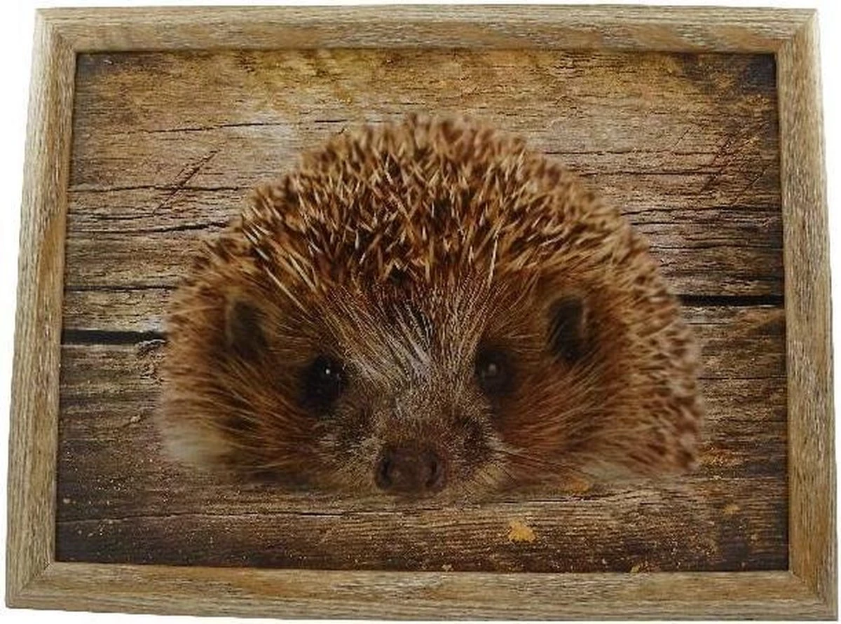 Mars & More - Laptray - Schootkussen - Egel - 33x43 Cm 3 Mars & More - Laptray - Schootkussen - Egel - 33x43 Cm - Afbeelding 3