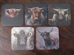 Merkloos Landelijke Viltjes Schotse Hooglanders - Voordeelset Met 10 Stuks - Onderzetters Met Vochtabsorberend Viltkarton