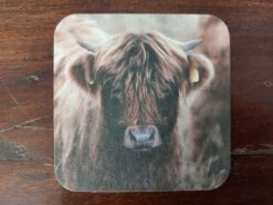 Merkloos Landelijke Viltjes Schotse Hooglanders - Voordeelset Met 10 Stuks - Onderzetters Met Vochtabsorberend Viltkarton -Merkloos Verkoopwinkel 1200x900 58