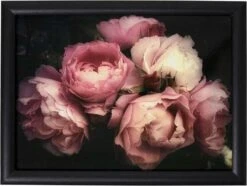 Merkloos Schootkussen/laptray Zwart Met Vintage Pioenrozen Print 33 X 43 Cm - Botanisch - Schoottafel - Dienblad Voor Op Schoot