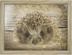 Mars & More - Laptray - Schootkussen - Egel - 33x43 Cm