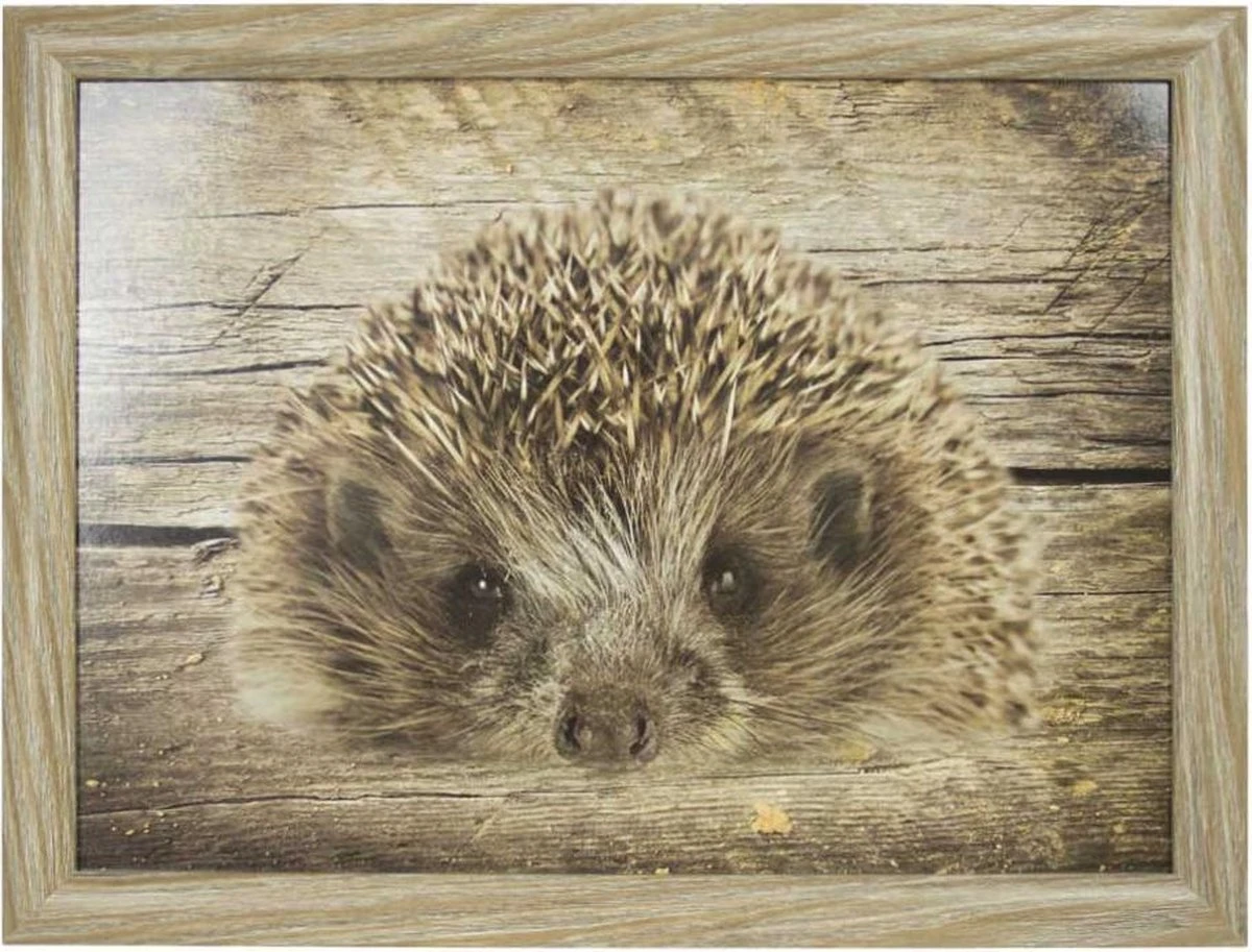 Mars & More - Laptray - Schootkussen - Egel - 33x43 Cm 1 Mars & More - Laptray - Schootkussen - Egel - 33x43 Cm