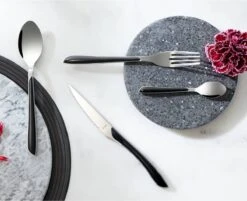 Amefa Eclat Zwart - 16 Delige Set - 4 Persoons - Zwart Gekleurd Bestek -Merkloos Verkoopwinkel 1200x975