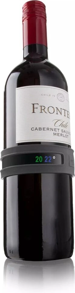 Wijnthermometer - Snap - Grijs - Vacuvin -Merkloos Verkoopwinkel 310x1200 1