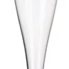 Champagne Glas Met Losse Voet 75/100ml (24 Stuks) Herbruikbaar.